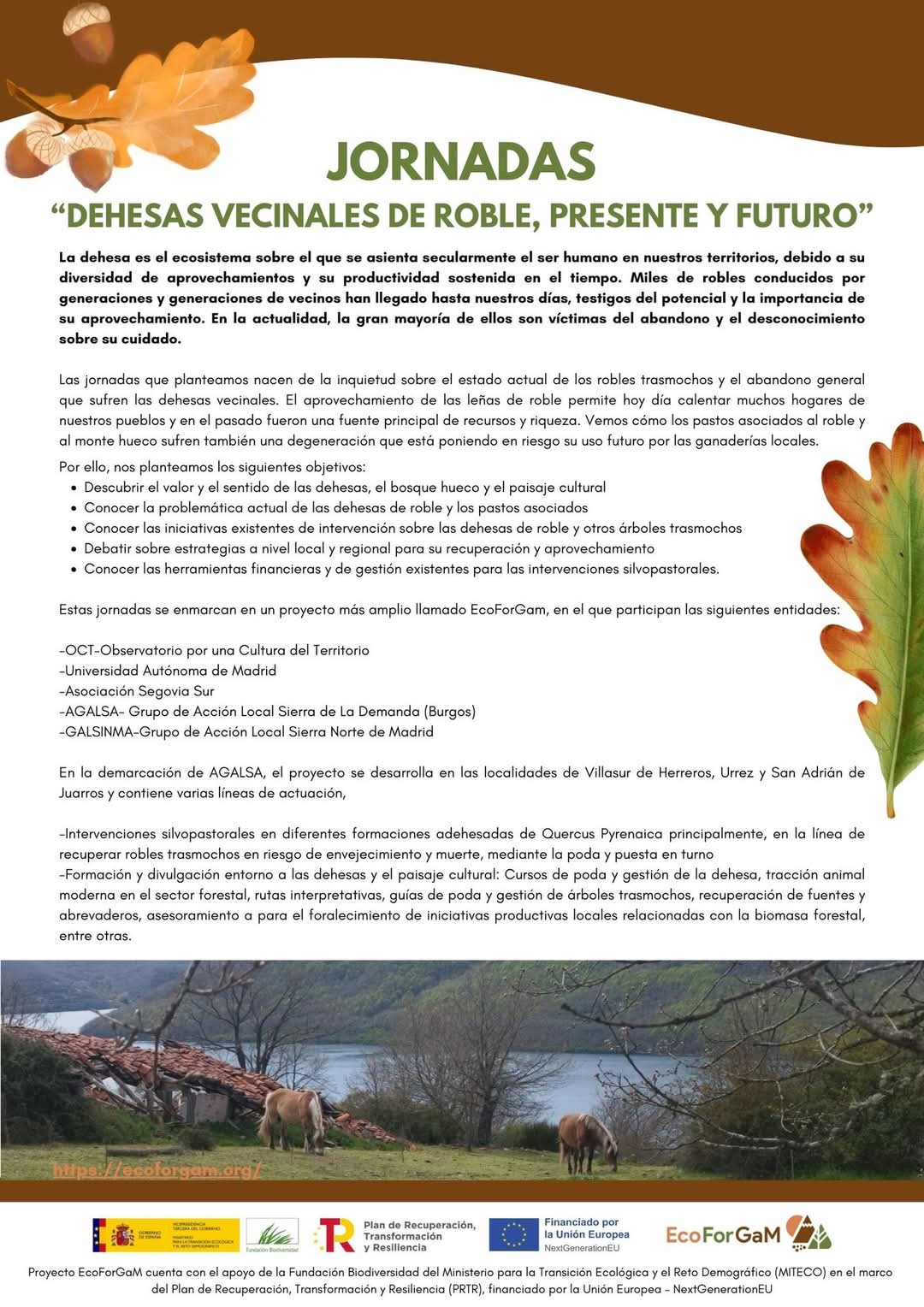 Jornadas "Dehesas vecinales de roble, presente y futuro"