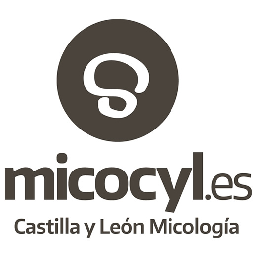Permisos recolección setas - Micocyl