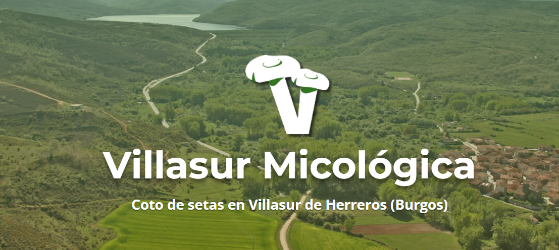 VILLASUR MICOLÓGICA