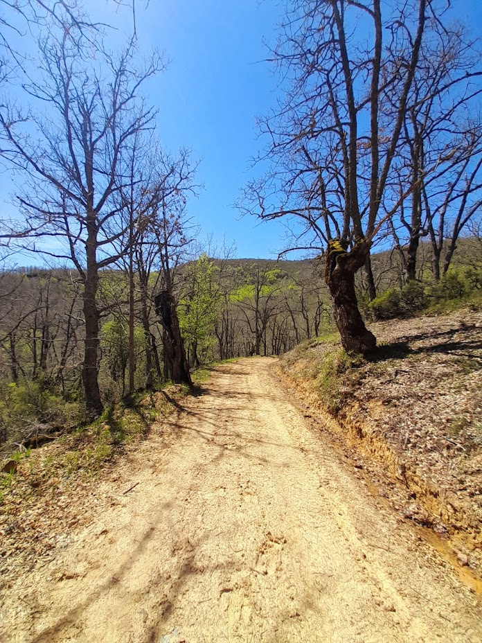 Vía Verde de la Demanda